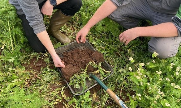 A spadeful of soil for VESS assessments